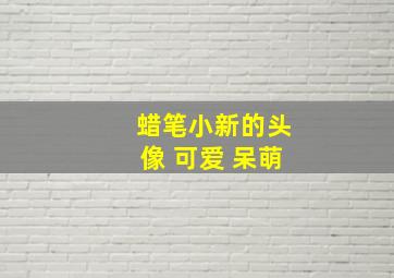 蜡笔小新的头像 可爱 呆萌